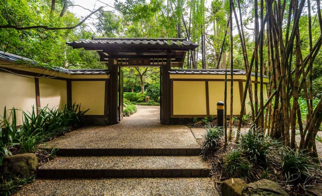 Japanese Garden at Brisbane Botanic Gardens