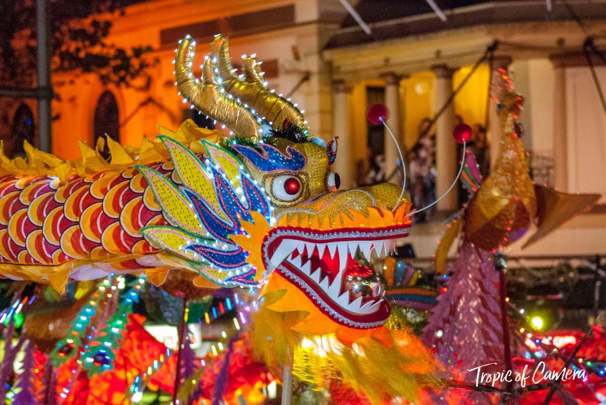 Dragon dancers at Chinese Lunar New Year Celebration, Sydney