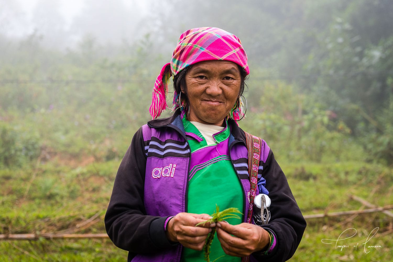 Traditional hmong woman in SaPa, Vietnam